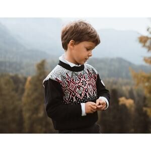 Dale Of Norway Boy's Blue White Red 100% Merino Wool Winterland Sweater Size 4